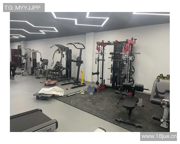 热门电动健身器材品牌盘点及性能对比分析